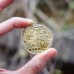 Đồng Bitcoin mạ vàng hàng chuẩn giá tốt
