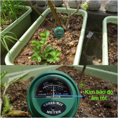 Máy phân tích độ ẩm, độ PH, ánh sáng cho cây trồng