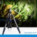 Chân máy ảnh Tripod Manbily CZ 302 Carbon Fiber chính hãng
